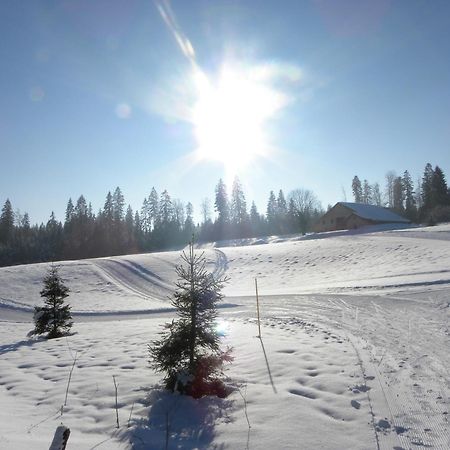 Etoile Des Neiges Piscine Spa Sauna Métabief Dış mekan fotoğraf